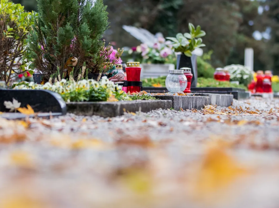 Sarg bei einer Erdbestattung auf einem Friedhof